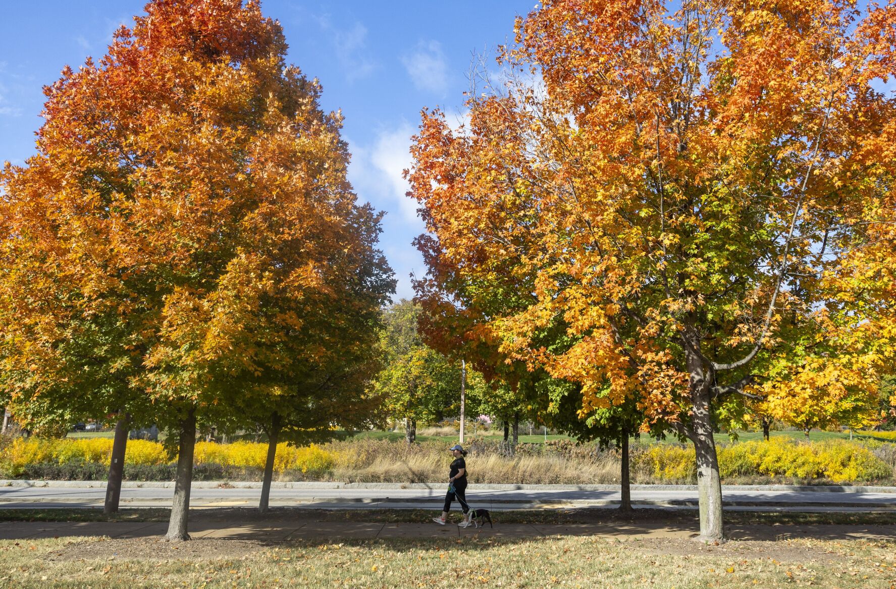 Fall colors in 最新杏吧原创